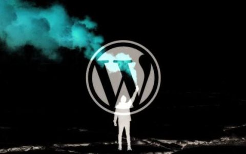 WordPress如何阻止网站启用谷歌FLoC追踪技术__wordpress教程