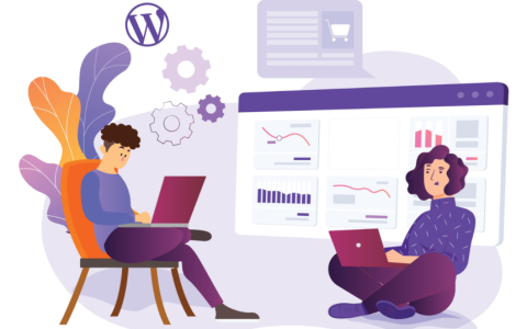 如何使用WordPress钩子来提高技术性SEO__wordpress教程